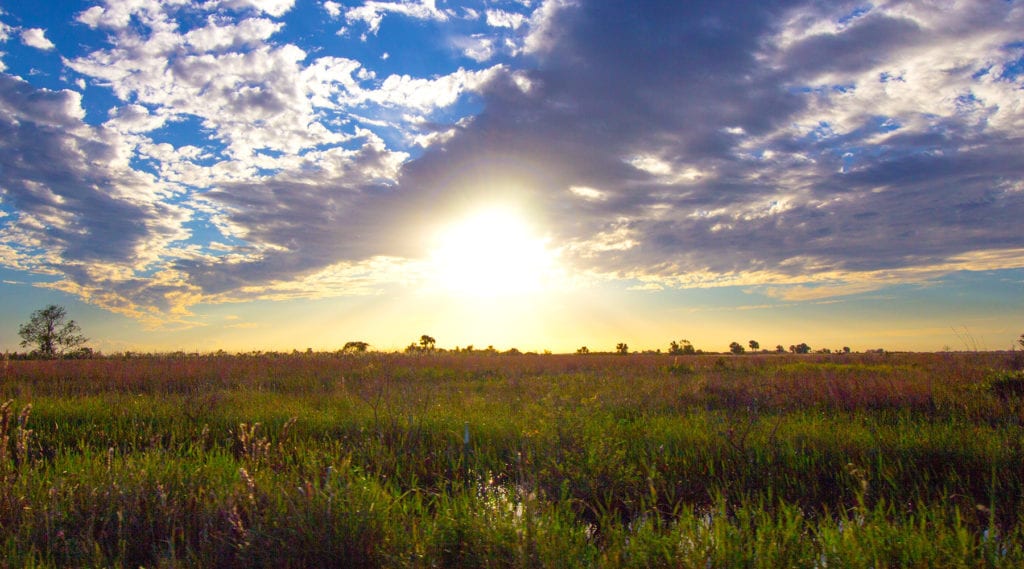 slider_home_03-1024×569